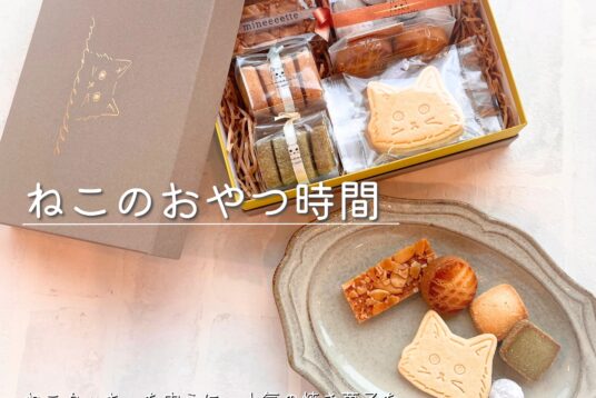 【猫好きさん必見】ギフトにも、自分へのご褒美にも。「ねこのおやつ時間」で癒しのスイーツタイムを