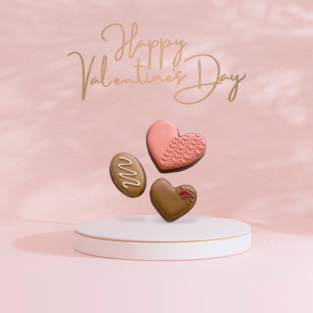 ブログ始めました！