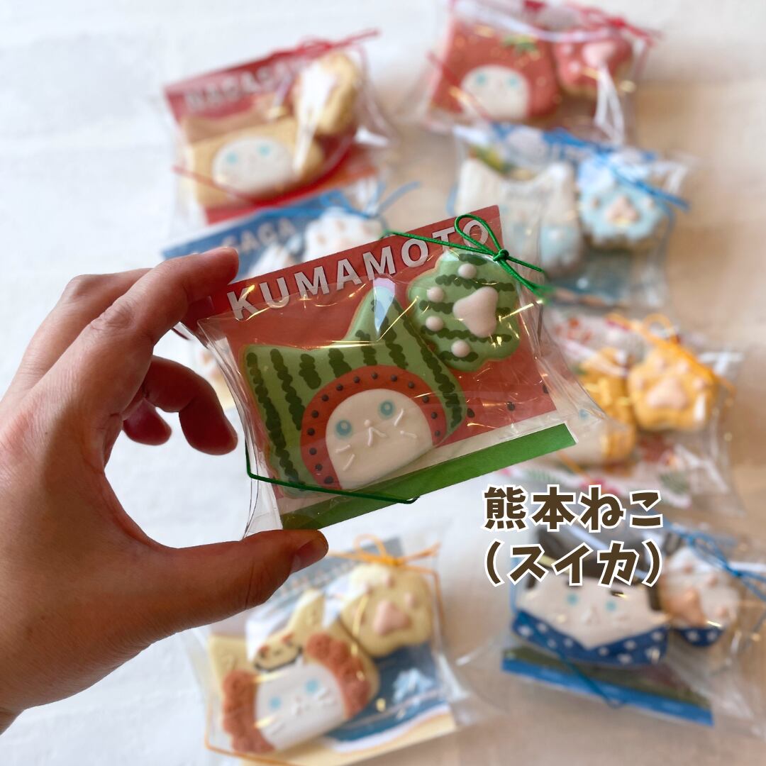 熊本ねこ（スイカ）アイシングクッキーを手に持ったところ