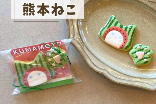 熊本土産やプチギフトに。「熊本ねこ（スイカ）」アイシングクッキー