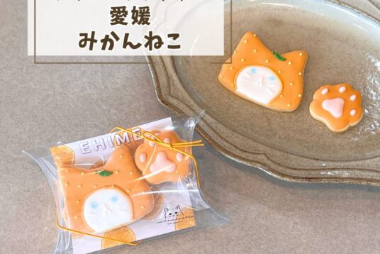 愛媛土産やプチギフトに。「愛媛ねこ（みかん）」アイシングクッキー