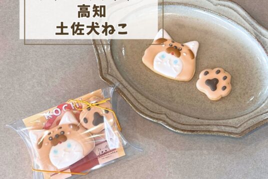 高知土産やプチギフトに。「高知ねこ（土佐犬）」アイシングクッキー