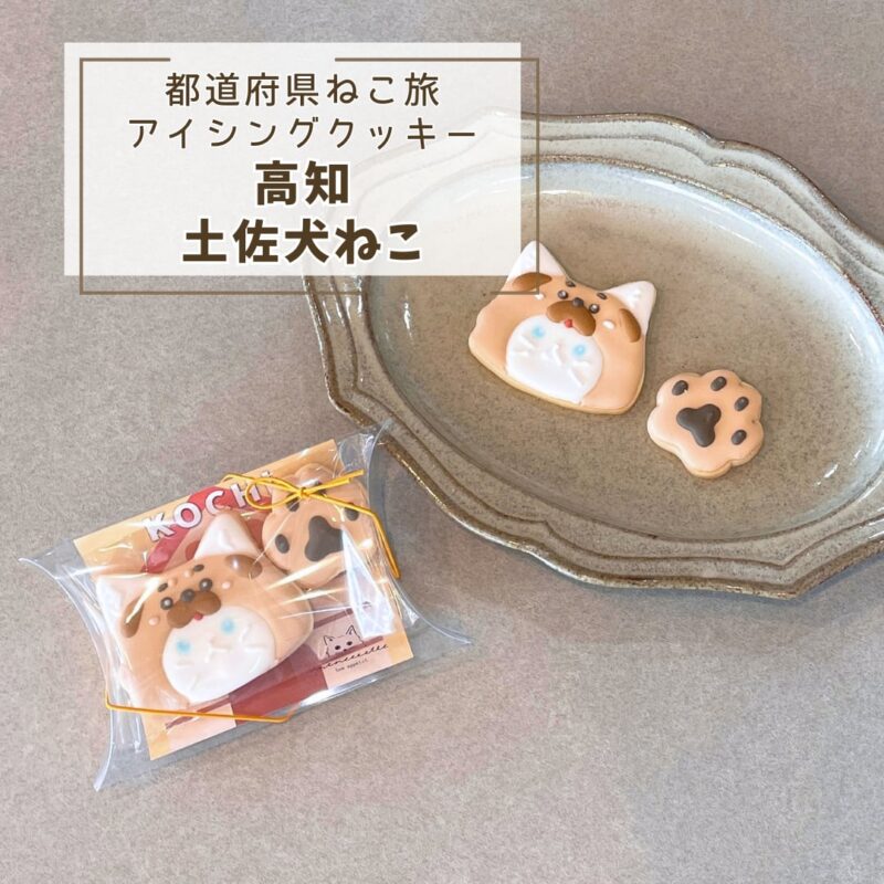 【都道府県ねこ旅】高知土佐犬ねこ